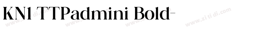 KN1 TTPadmini Bold字体转换 KN1 TTPadmini Bold字体转换